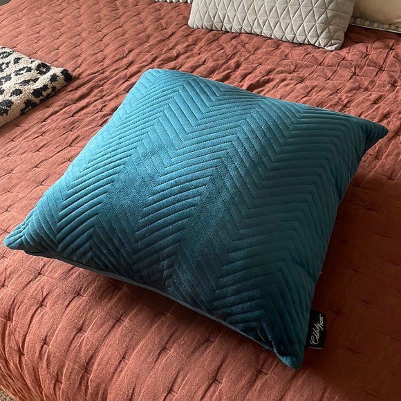 21x20 down filled for active pillow. Like new. Jade colored - Picture 2 of 5